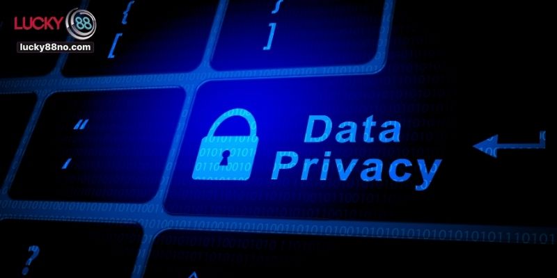 Quyền và nghĩa vụ của người chơi