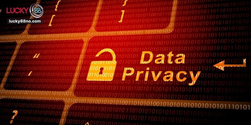 Quyền và nghĩa vụ của người chơi